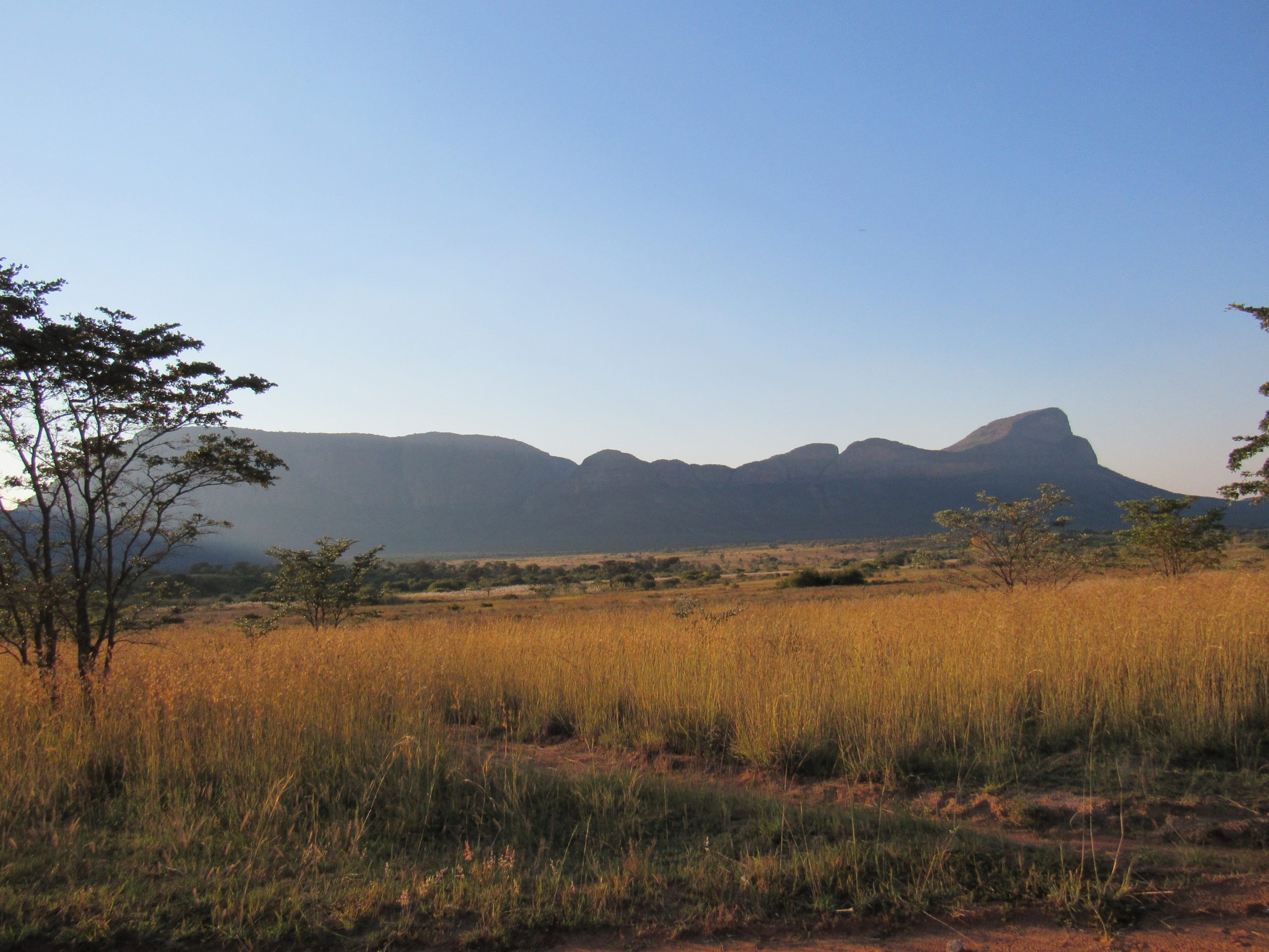 Grassland with a mountain view in the background.