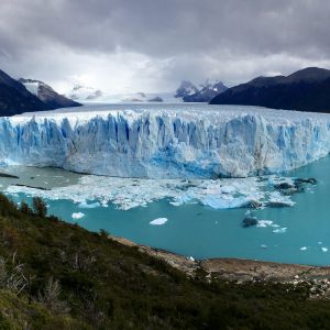 Giant glacier in a lake. There is a forest in the foreground, and snowy mountains on the horizon.