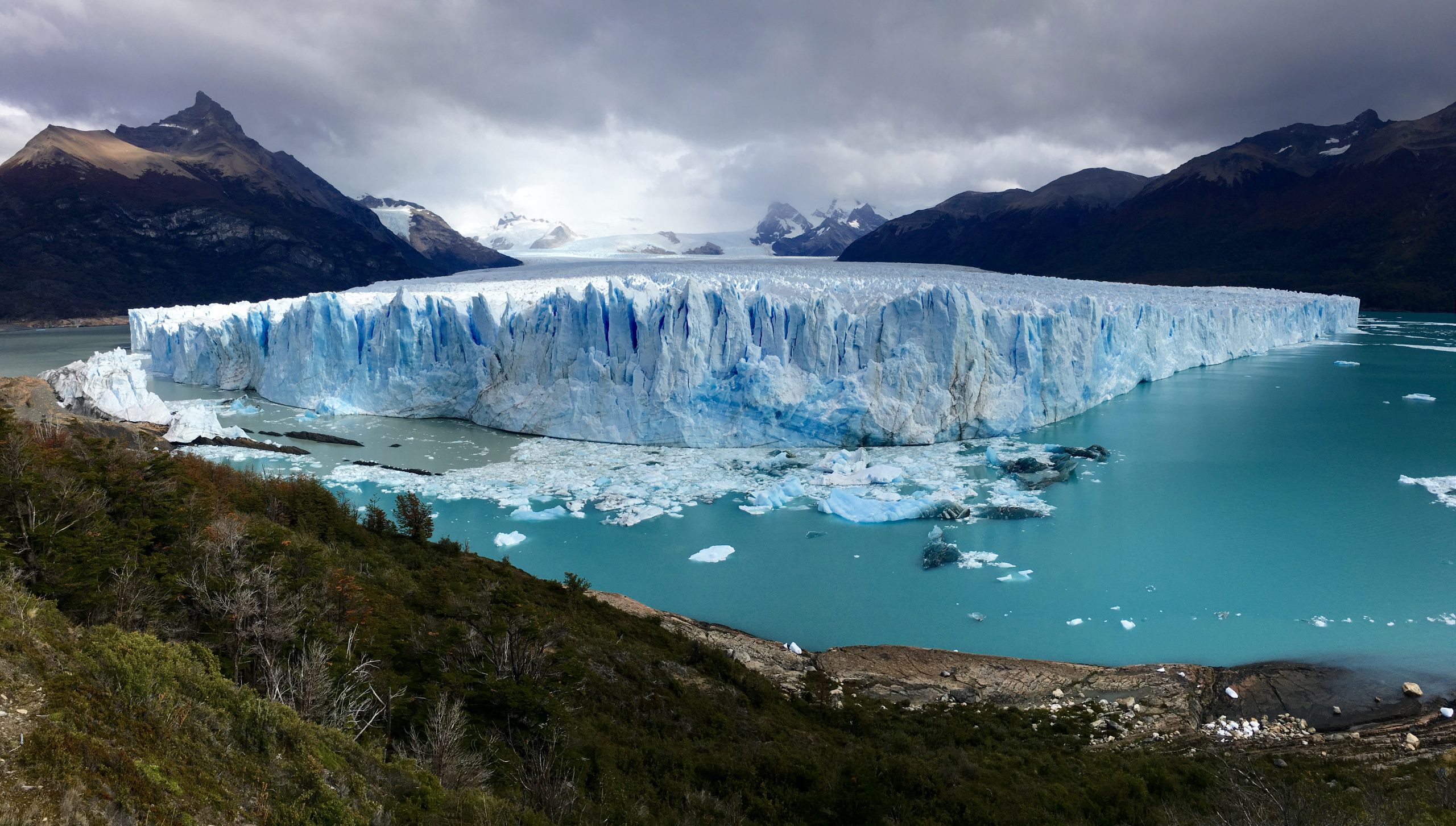 Giant glacier in a lake. There is a forest in the foreground, and snowy mountains on the horizon.