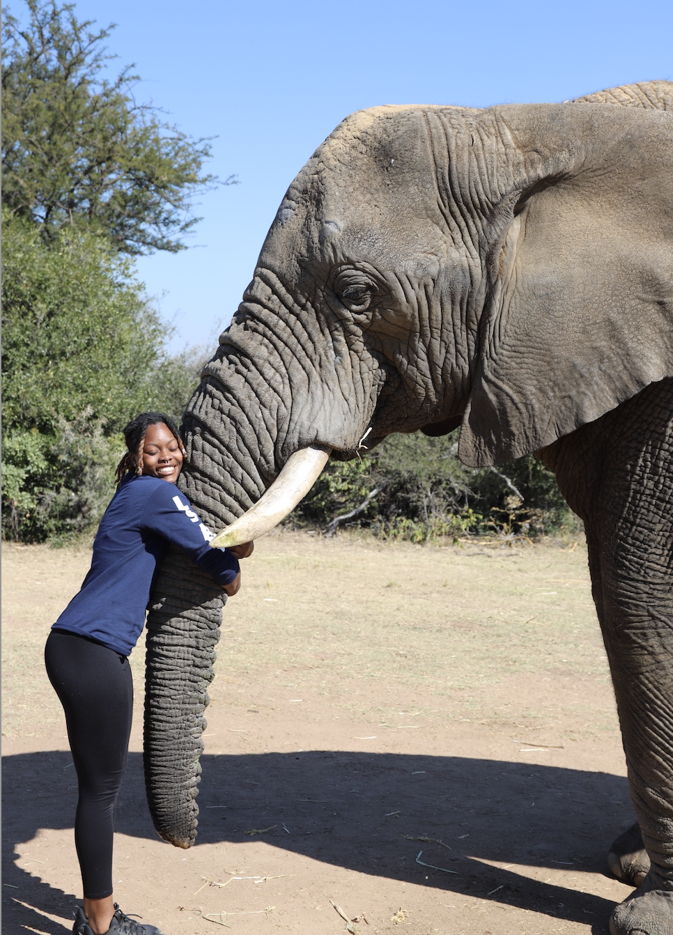 UConn student abroad hugging the trunk of an elephant. She is wearing a blue long sleeved shirt, black leggings, and black sneakers.